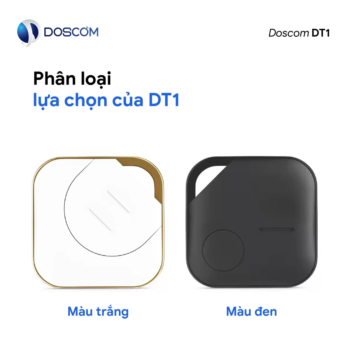 Phân loại lựa chọn mua Dt1
