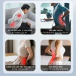 Đệm Massage Toàn Thân FUJILUX FJ-D88 – Túi Khí Toàn Thân, Bi Lăn Đa Điểm, Nhiệt Hồng Ngoại Graphene