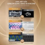 Máy Massage Trẻ Hoá Làn Da FUJILUX Sóng Âm 120 Nhịp/Phút – Nâng Cơ, Săn Chắc Da, 5 Đầu Thay Thế