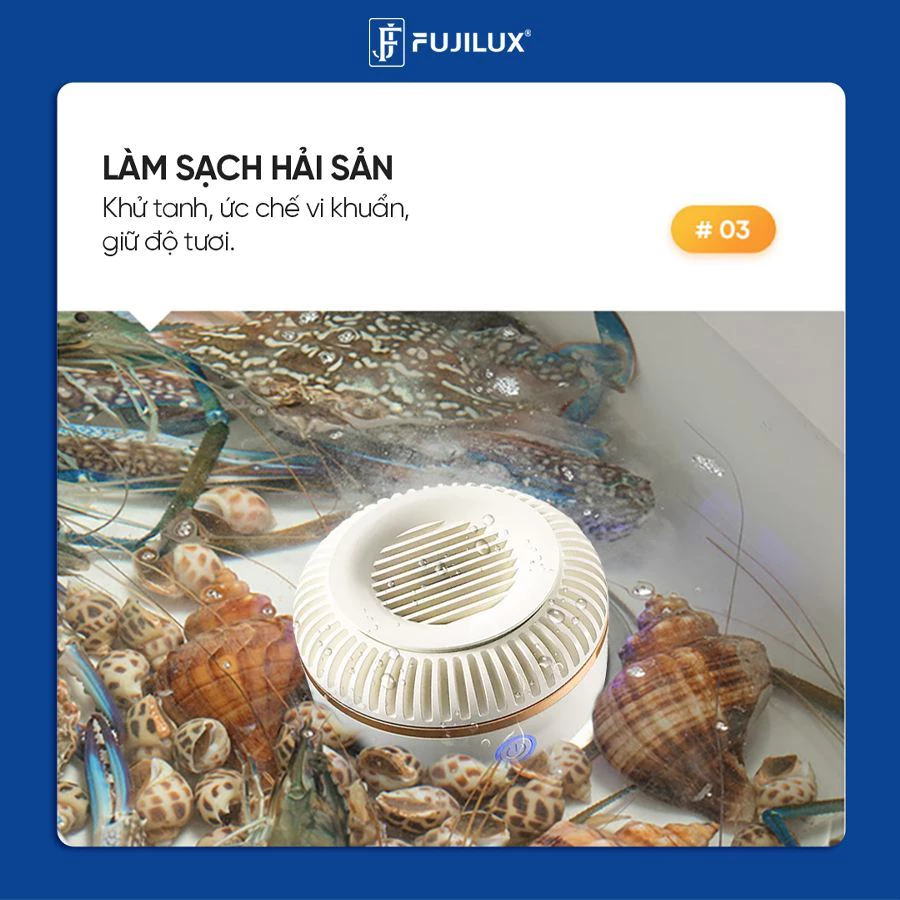 Máy Rửa Rau Củ Quả FUJILUX Green Wash 1