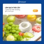 Máy Rửa Rau Củ Quả FUJILUX Green Wash 1