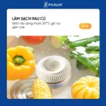 Máy Rửa Rau Củ Quả FUJILUX Green Wash 1